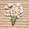 Kuripe ou Curipe - Cogumelos Psicodélicos Natureza Sana